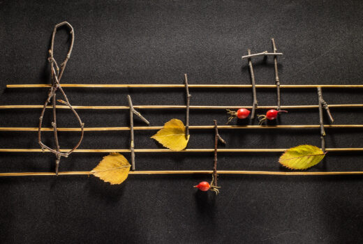 Musical,notes,conception.,wooden,musical,notes,and,leaves.